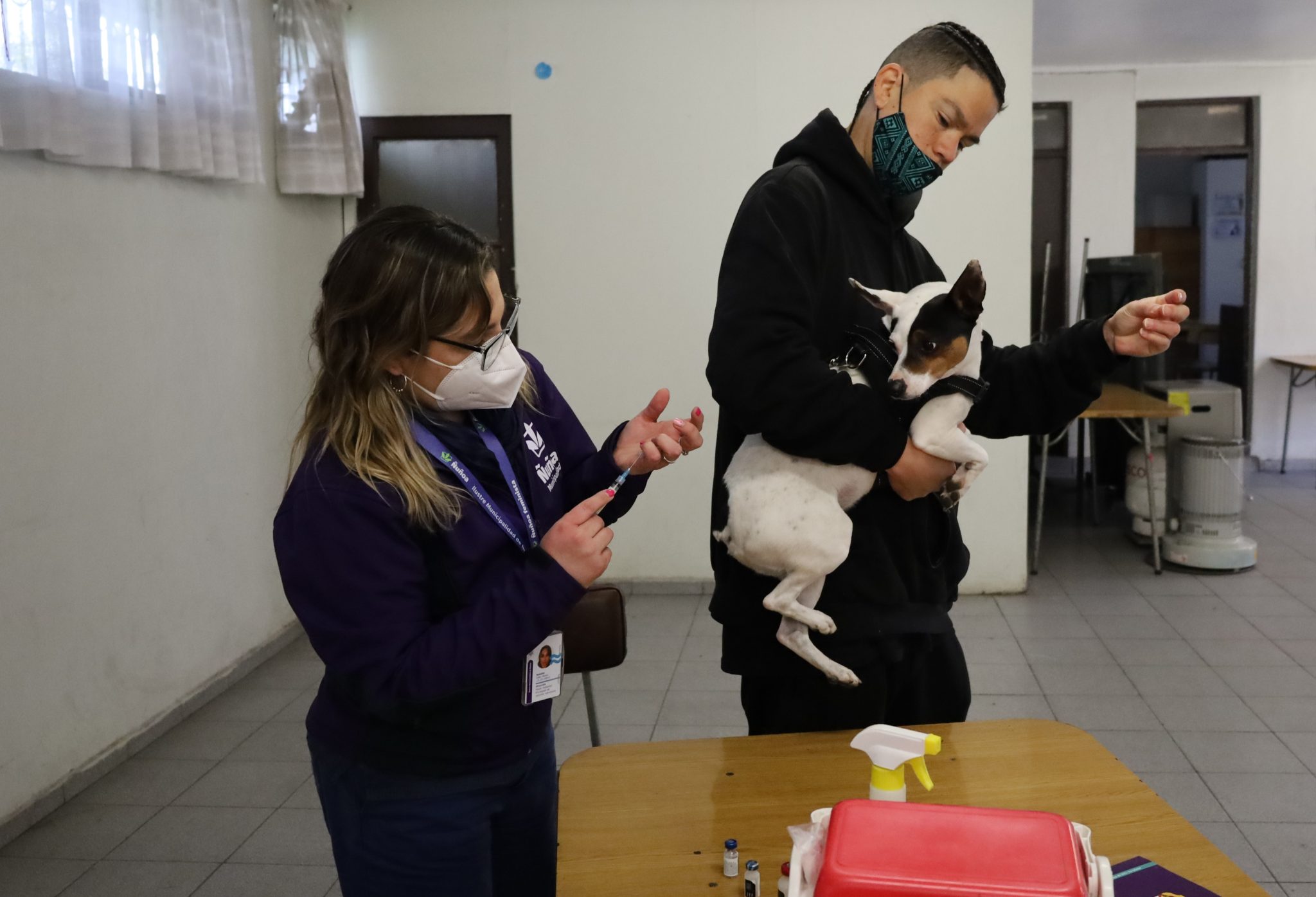 Vacunas esterilización y adopción en Departamento de Bienestar Animal